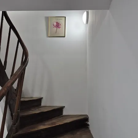 Apartment Spacieuse Lascaux *